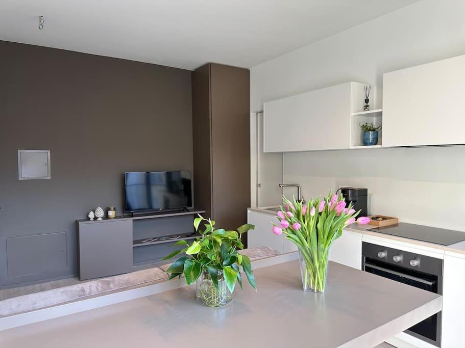 Riva 17 Apartment ลูกาโน ภายนอก รูปภาพ