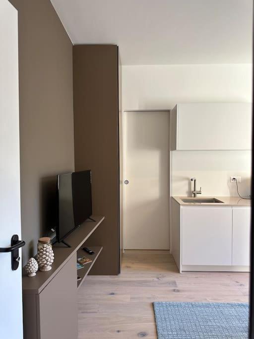 Riva 17 Apartment ลูกาโน ภายนอก รูปภาพ